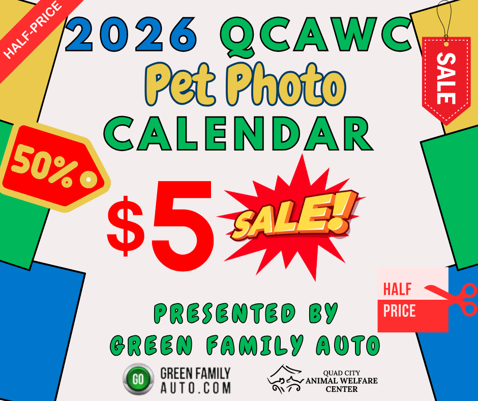 Pet photo calendar contest website 2